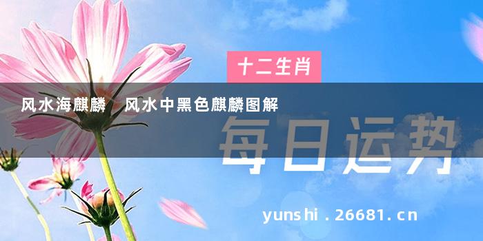风水海麒麟 风水中黑色麒麟图解